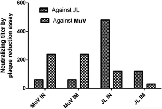 FIG 1