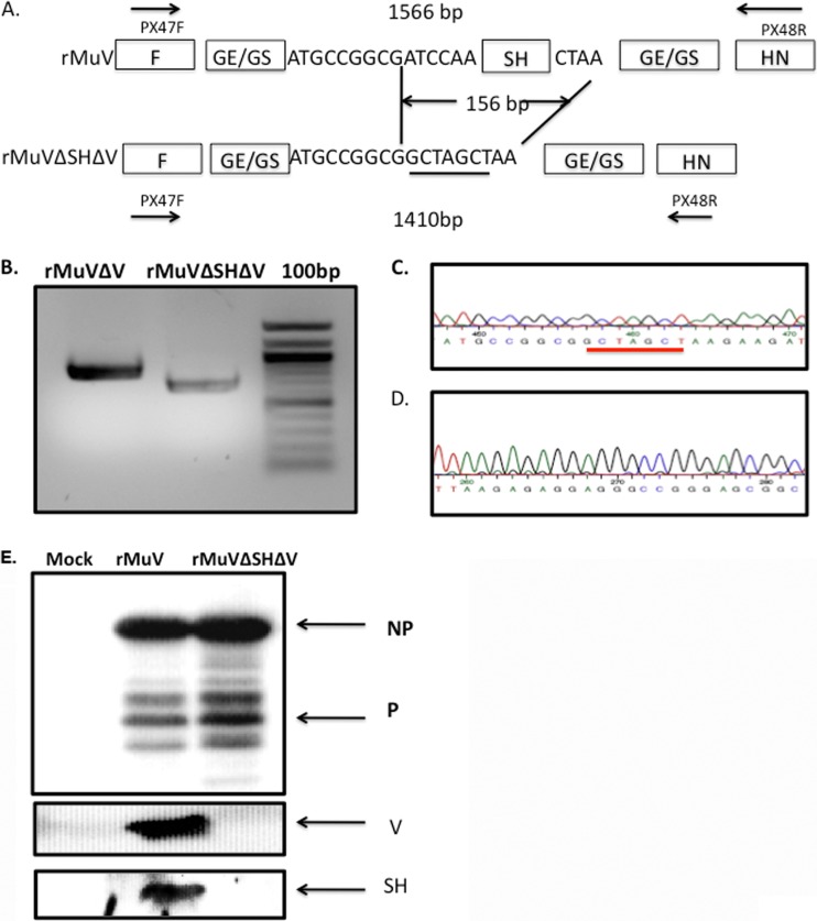 FIG 4