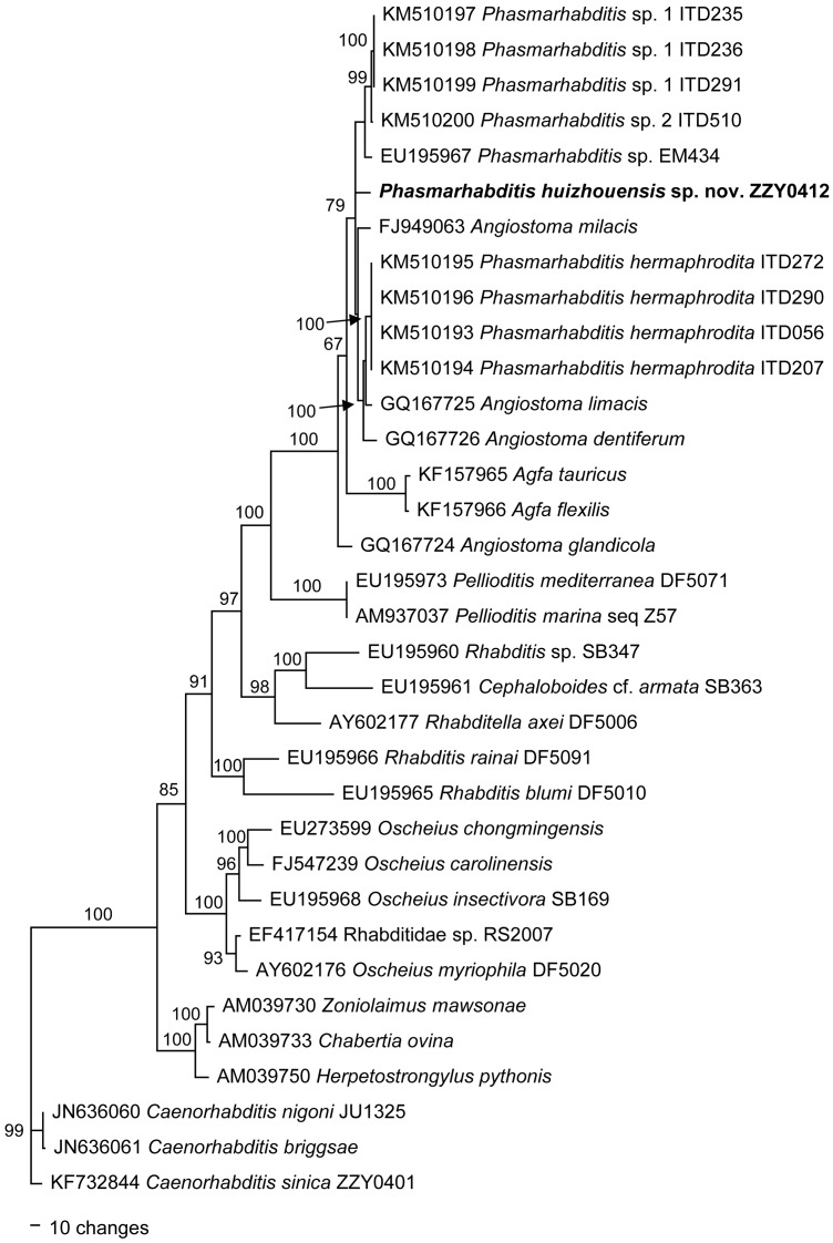 Fig 5