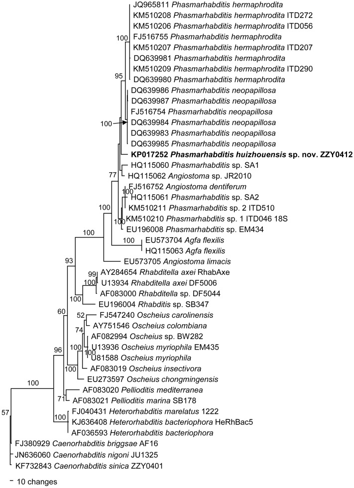 Fig 4