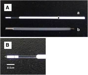 Fig. 1