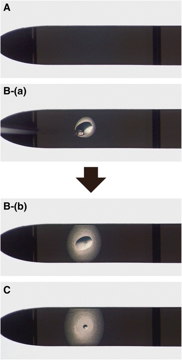 Fig. 2