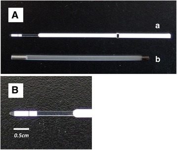 Fig. 1