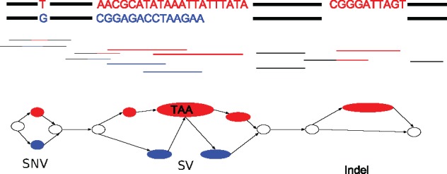 Fig. 1.