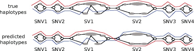 Fig. 5.