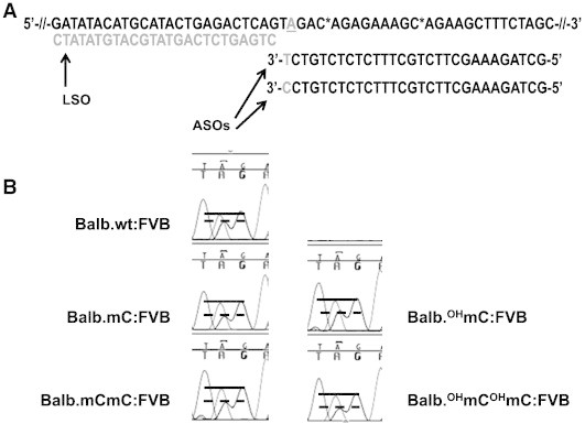 Figure 7