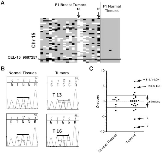 Figure 4