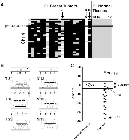 Figure 3