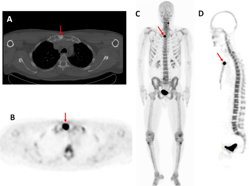 Fig. 5