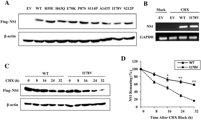 Figure 5