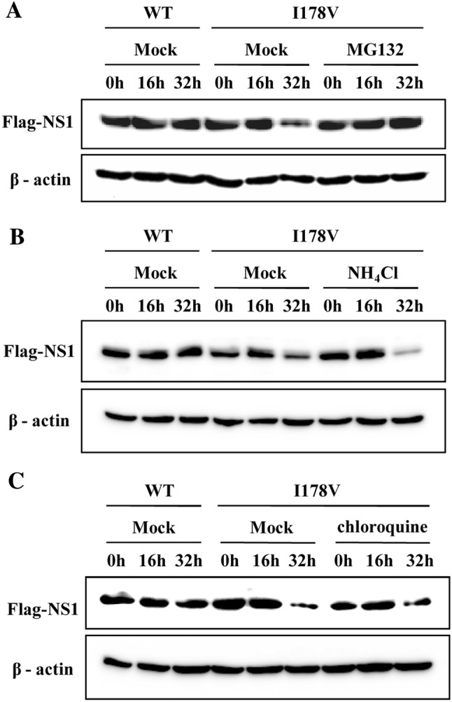 Figure 6