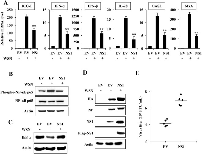 Figure 1