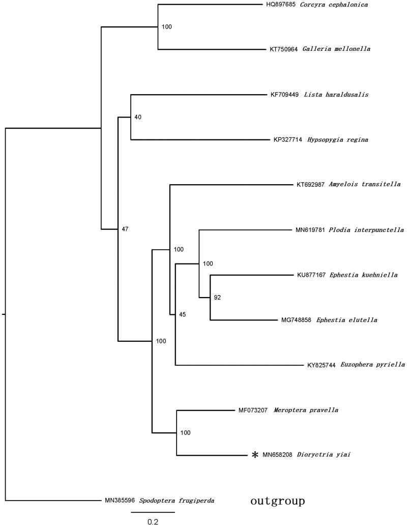 Figure 1.