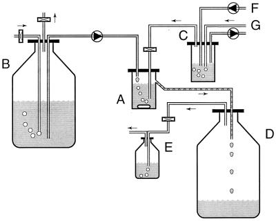 FIG. 1