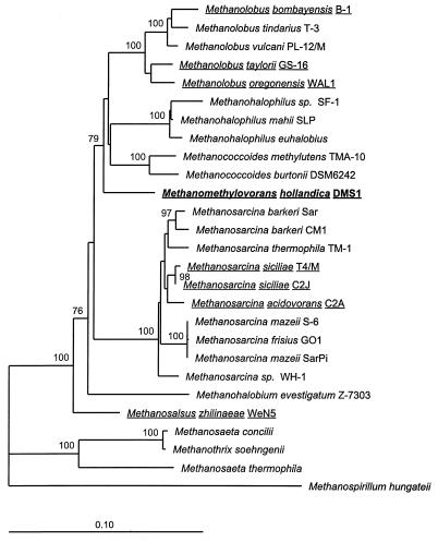 FIG. 9