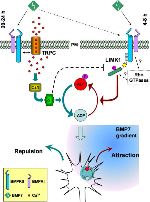 Figure 10.