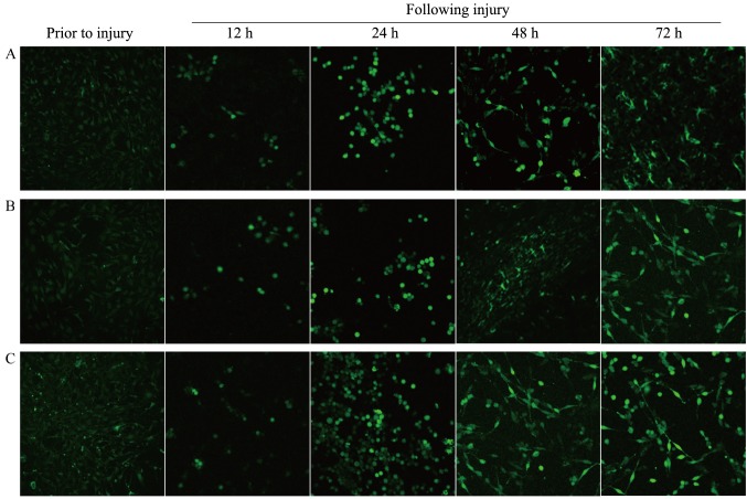 Figure 3.