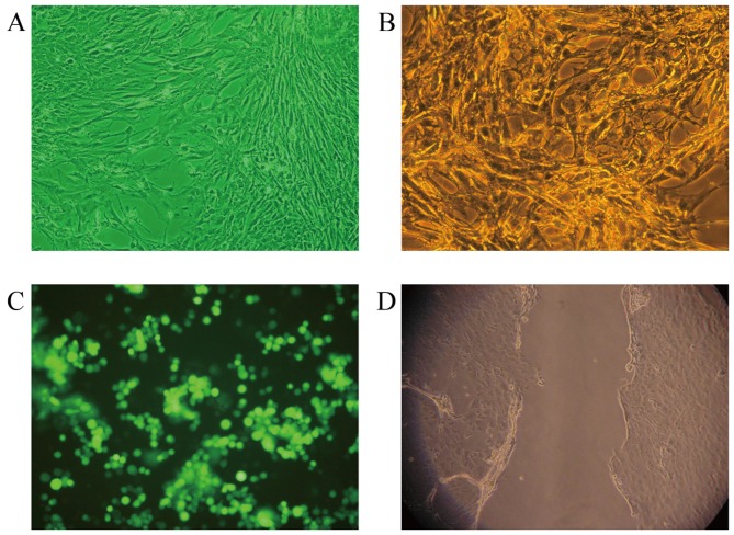 Figure 2.