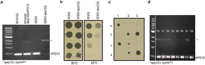 Figure 4—figure supplement 4.