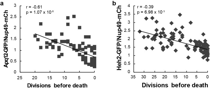 Figure 2—figure supplement 2.