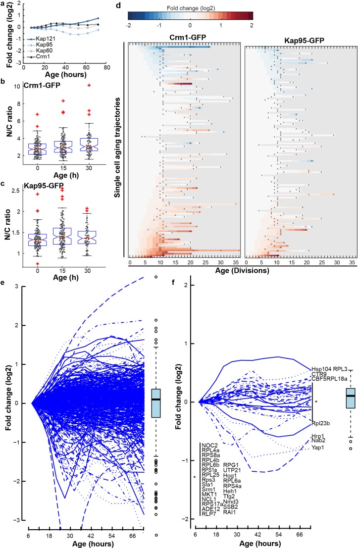 Figure 4—figure supplement 2.