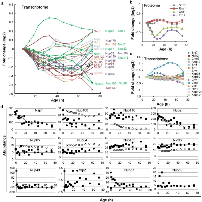 Figure 1—figure supplement 1.