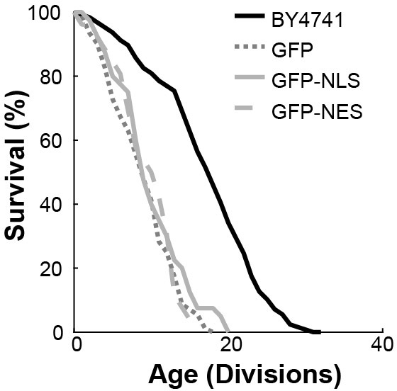 Figure 4—figure supplement 3.