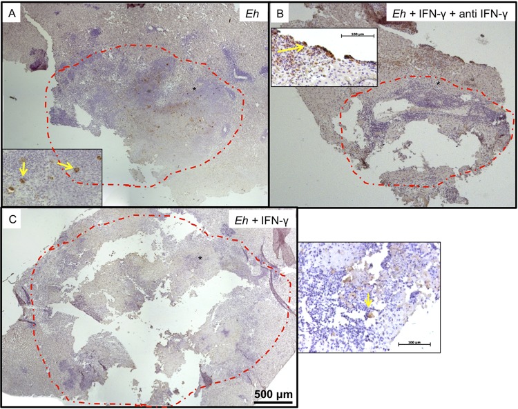 FIG 12