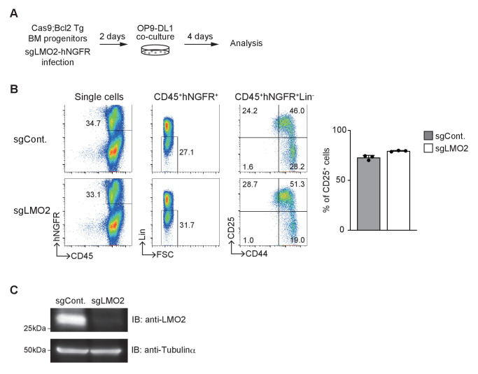 Figure 2—figure supplement 1.