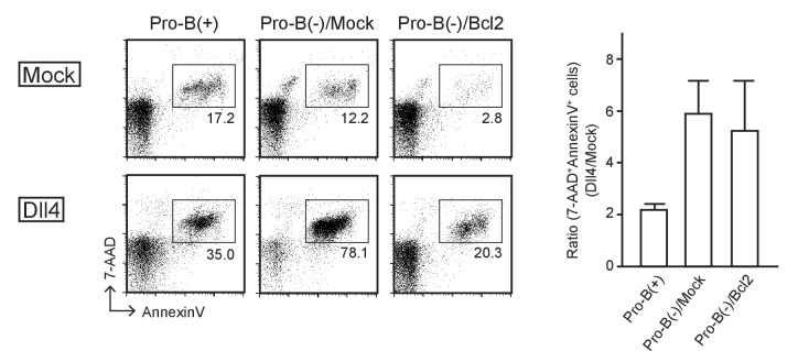 Figure 3—figure supplement 1.