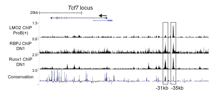 Figure 6—figure supplement 1.