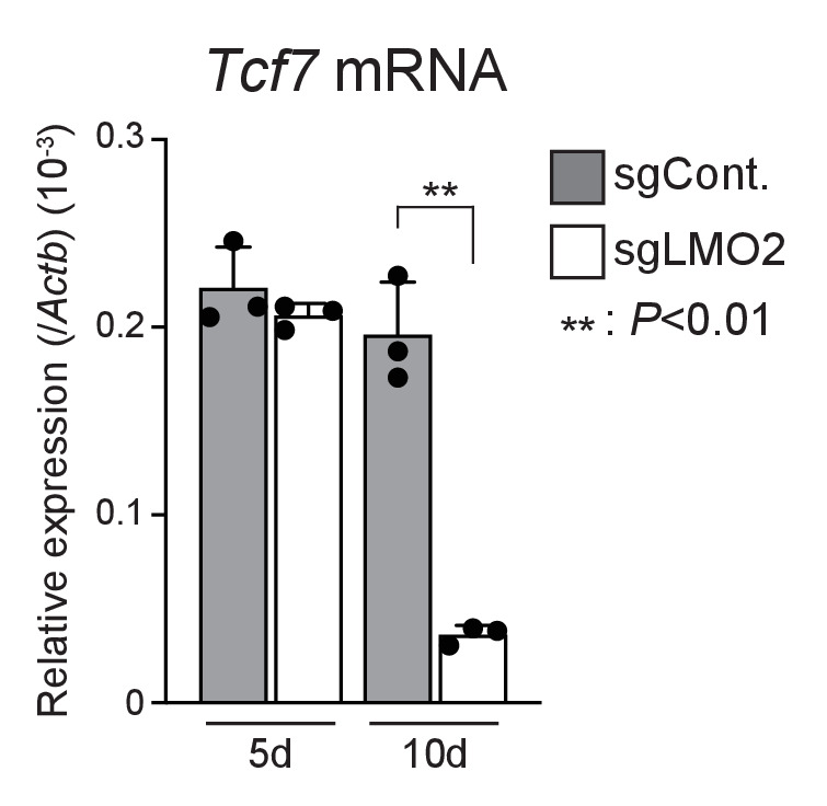 Figure 4—figure supplement 1.