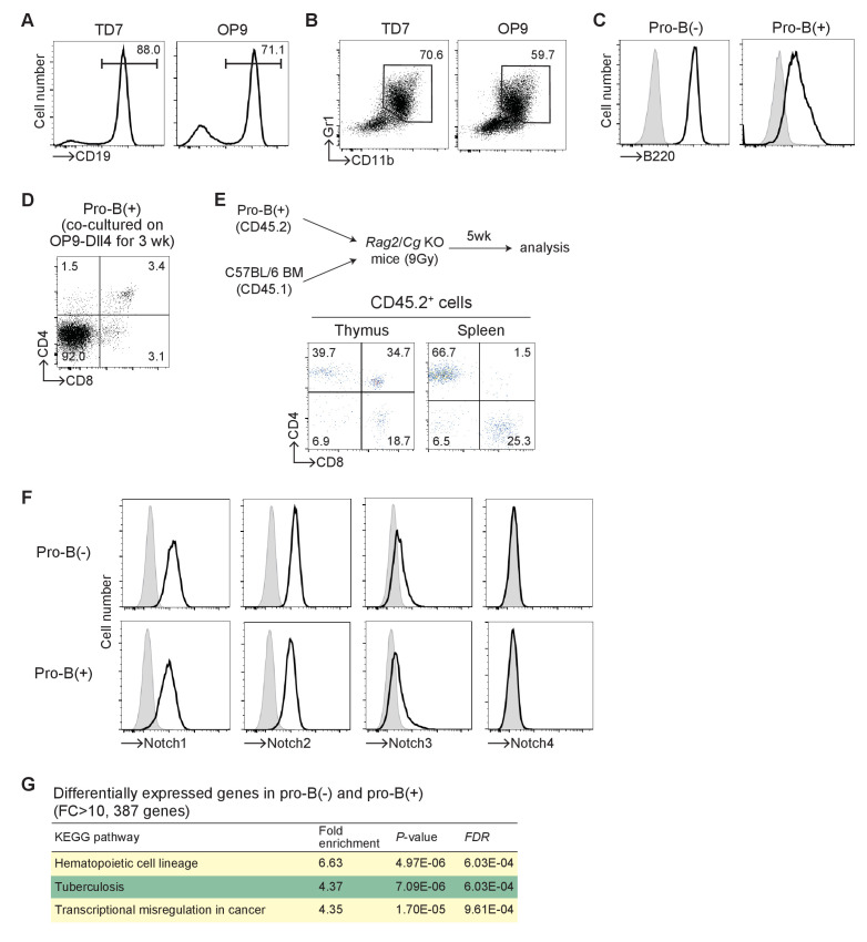 Figure 1—figure supplement 1.