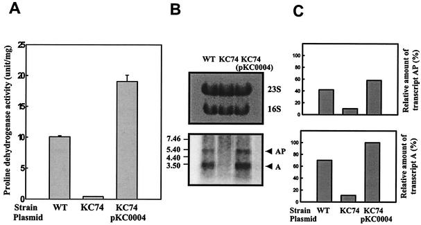 FIG. 5.