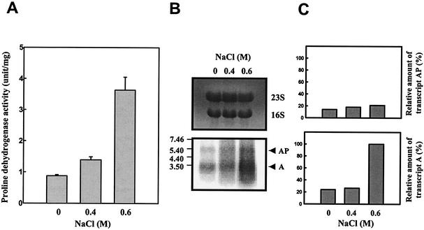 FIG. 8.