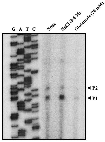 FIG. 9.