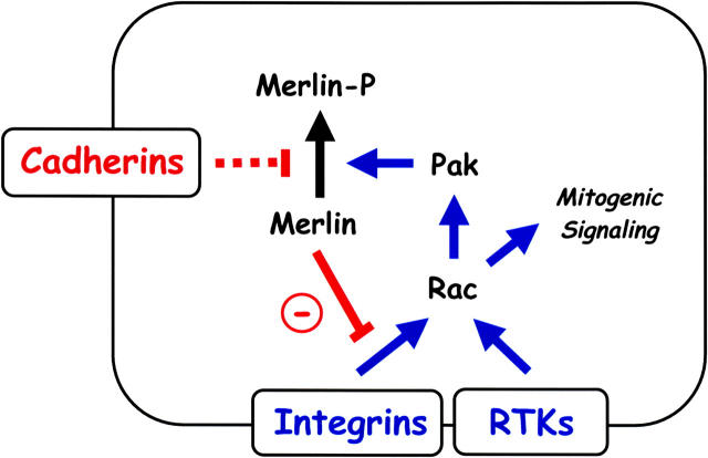 Figure 7.