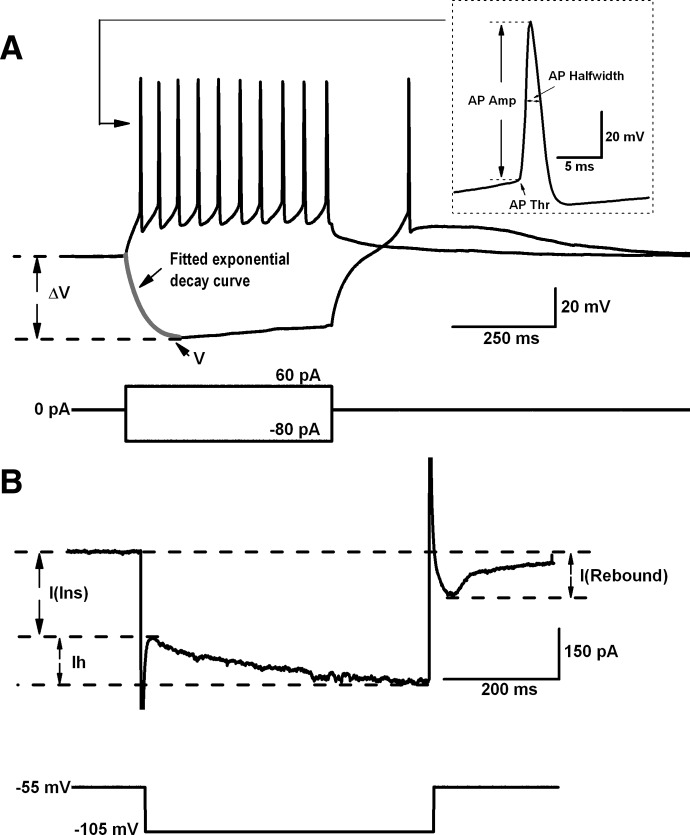 FIG. 1.