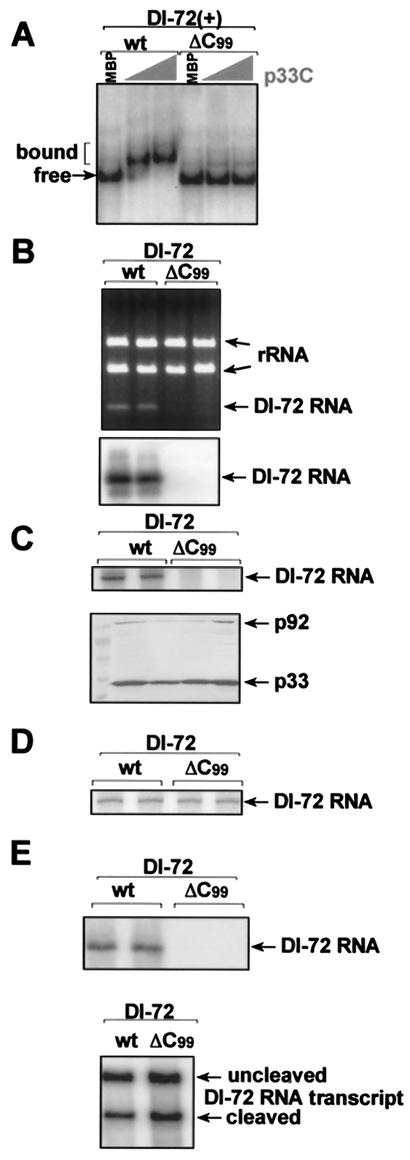 FIG. 5.