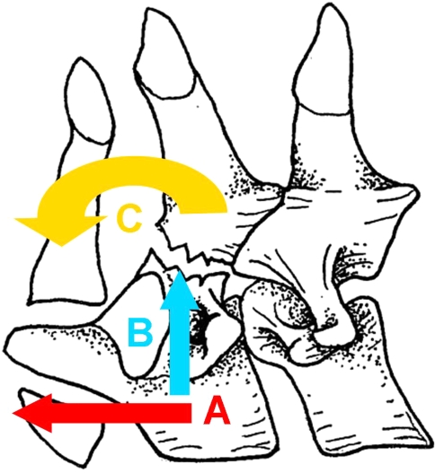 Fig. 1