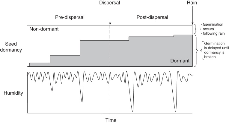 Fig. 1.