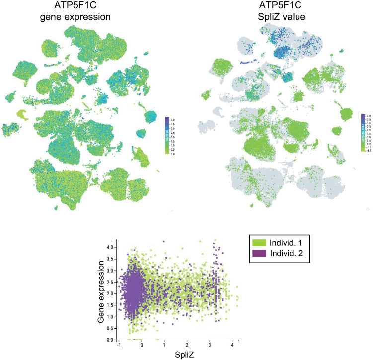 Figure 2—figure supplement 3.