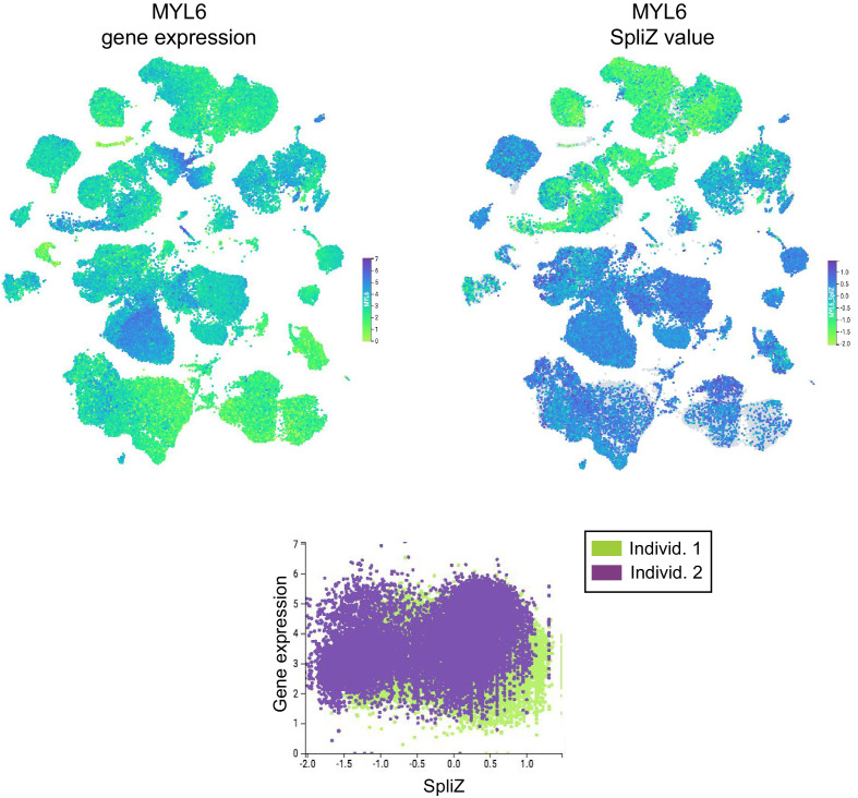 Figure 2—figure supplement 1.