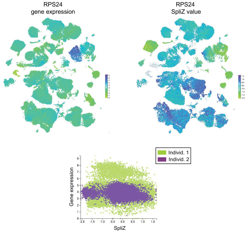 Figure 2—figure supplement 2.