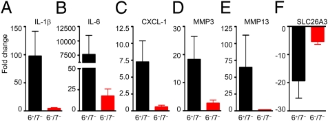 Fig. 6.