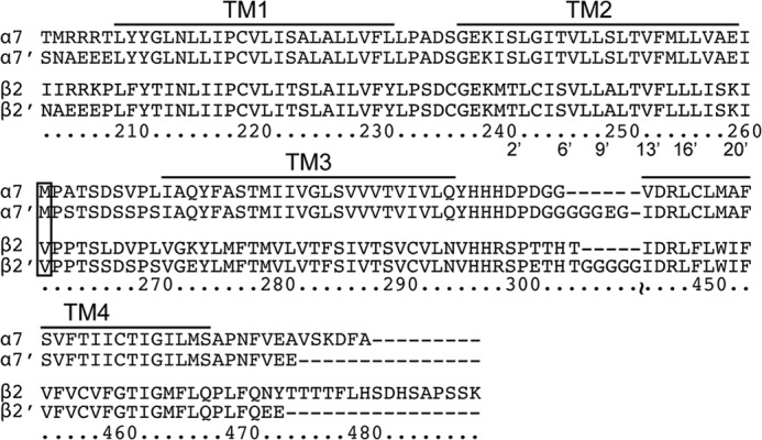 FIGURE 5.