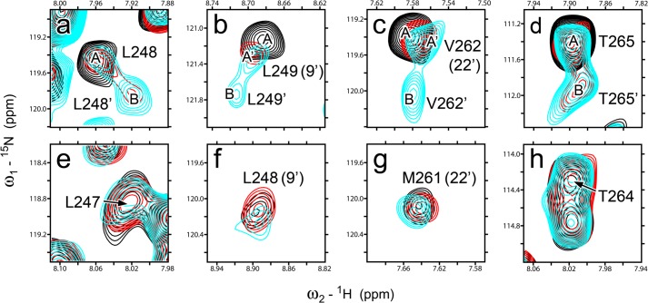 FIGURE 4.