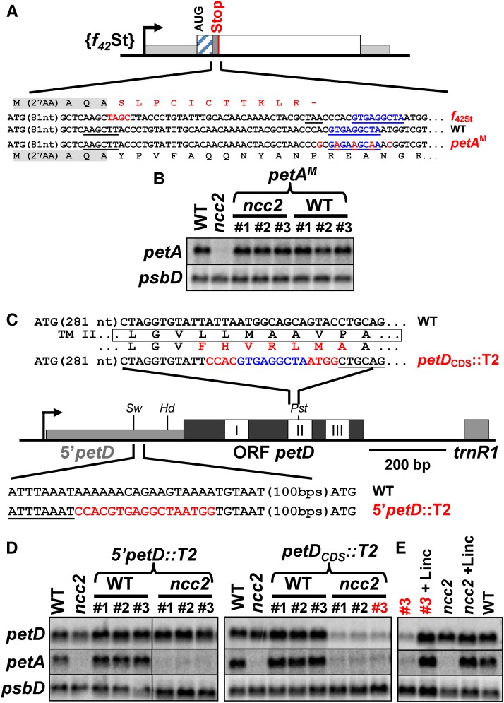 Figure 9.