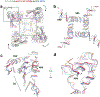 Extended Data Fig. 6