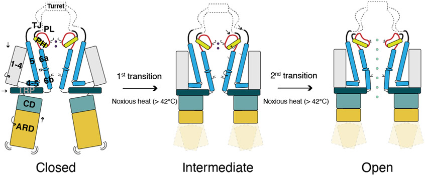 Fig 7.